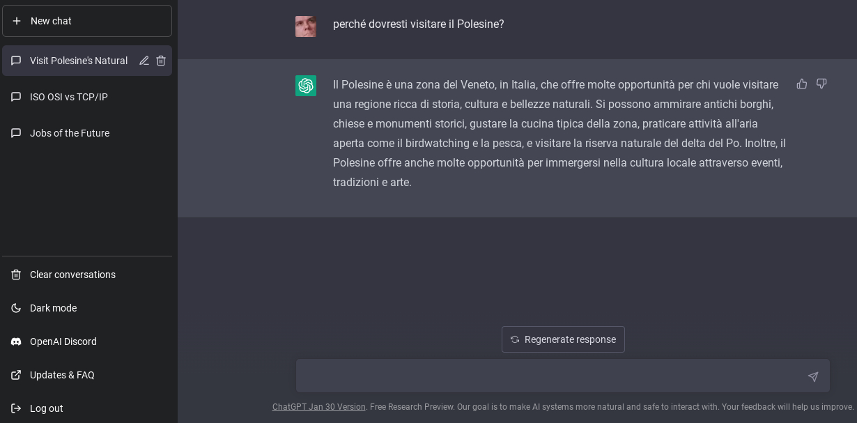 Domanda a chatGPT: perché dovresti visitare il Polesine?